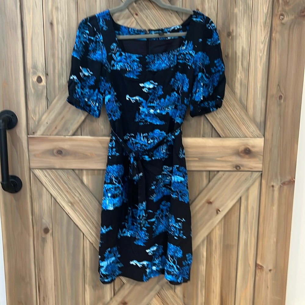 Ann Taylor petite dress